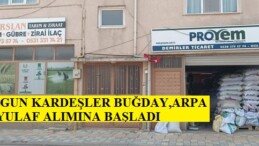 SARGUN KARDEŞLER BUĞDAY,ARPA VE YULAF ALIMINA BAŞLADI