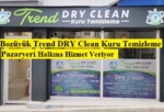 Bozüyük Trend DRY Clean Kuru Temizleme Kapınızda